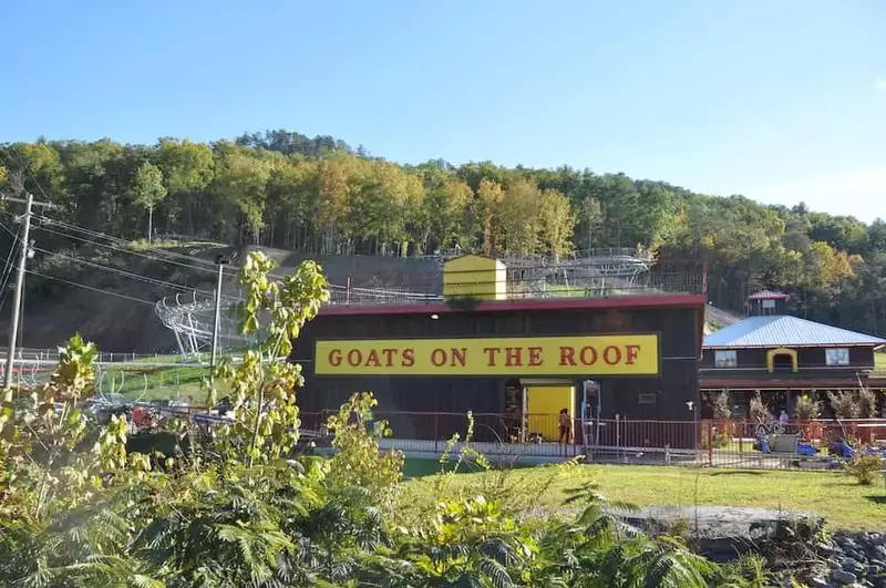 goats on the roof in pigeon forge tennessee