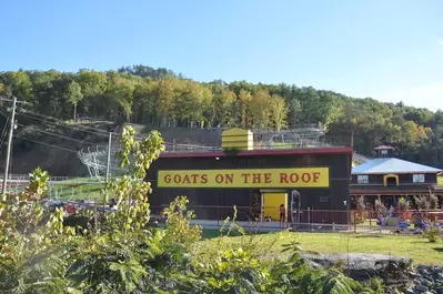 goats on the roof in pigeon forge tennessee