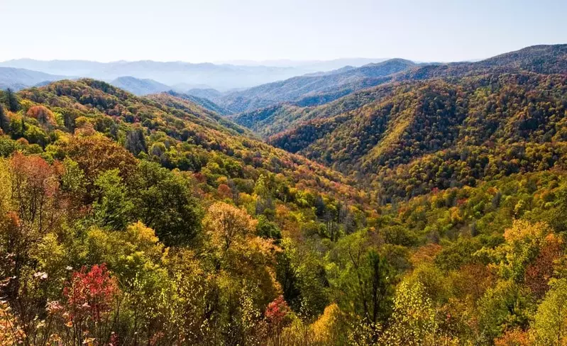 Fall colors in the mountains near Pigeon Forge.