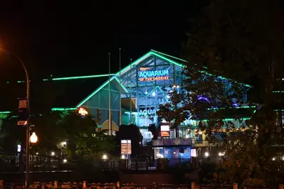 Ripley's Aquarium of the Smokies at night