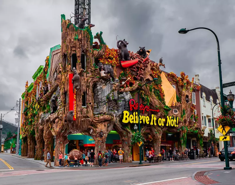 SOAKY MOUNTAIN LODGE