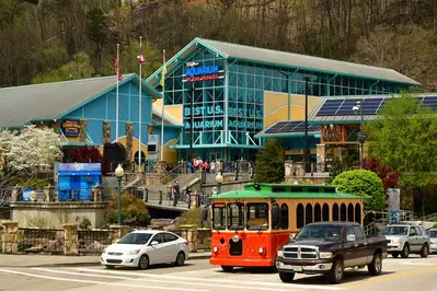 aquarium in gatlinburg